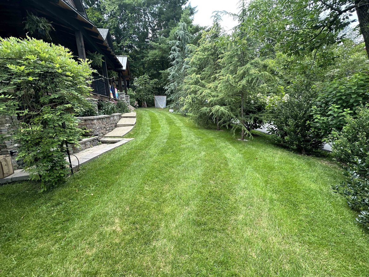 Mowing stripes across a wide tall fescue lawn in Lynchburg, VA
