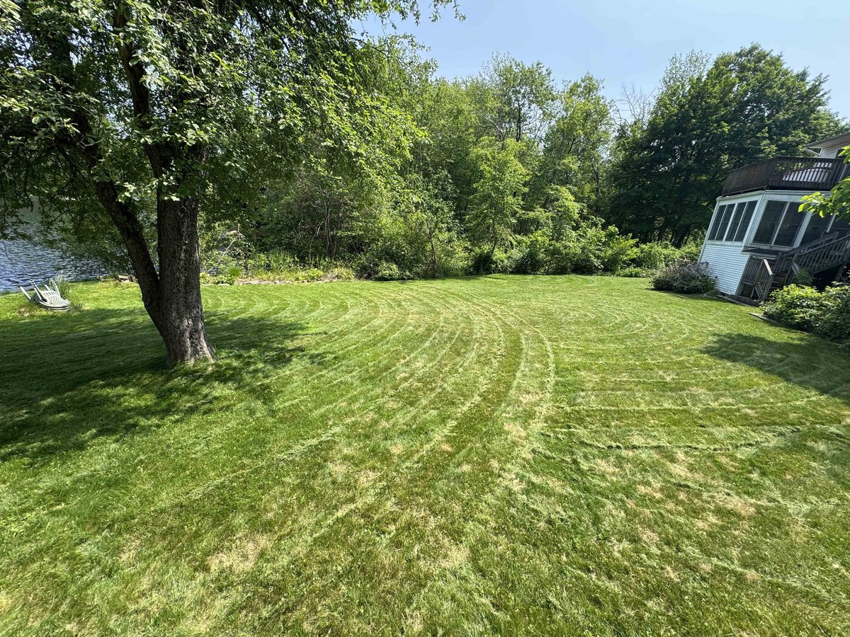 Freshly mowed and striped tall fescue lawn at a Lynchburg, VA home