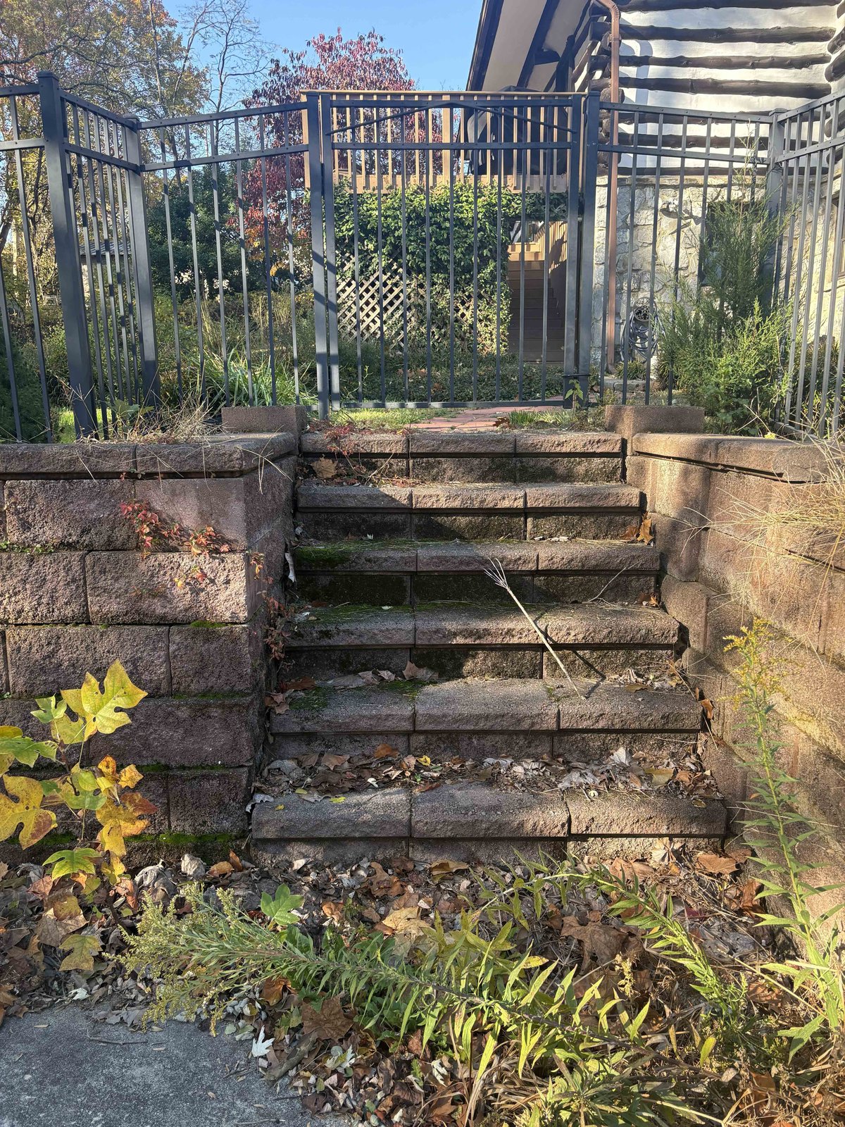 The same Lynchburg, VA stone steps darkened with algae and dirt before pressure washing